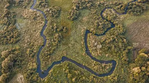 "Zostawmy rzeczki same sobie, nie wyrównujmy ziemi w ogródkach"