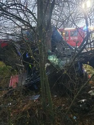 Pojazd uderzył w drzewo