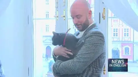 Wrocław city hall adopted a cat abandoned at a bus station