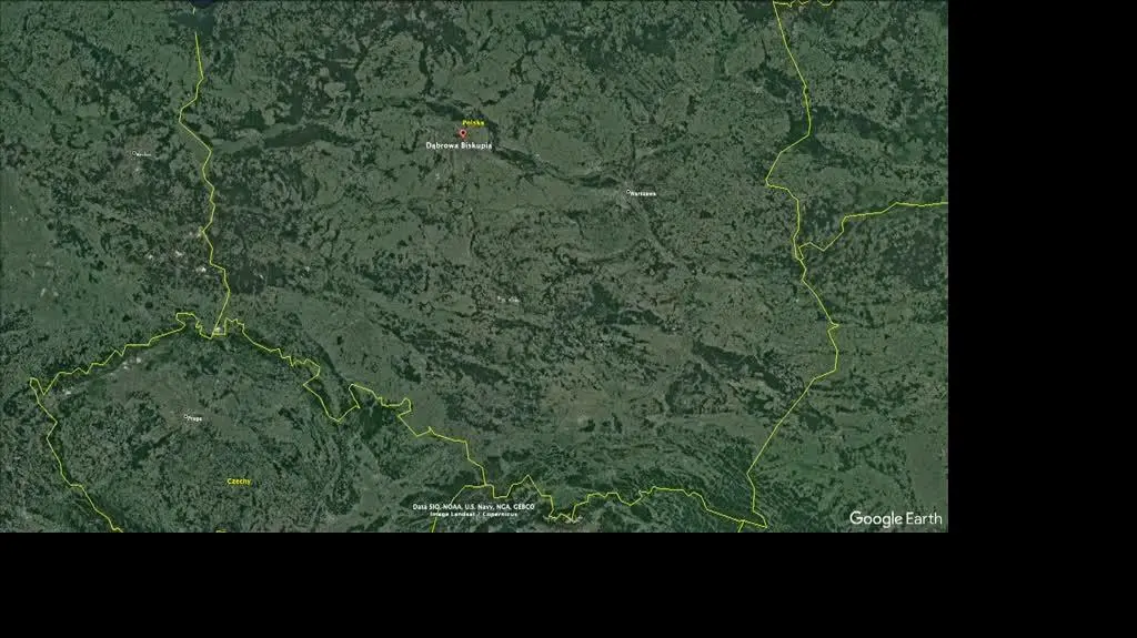 dabrowa