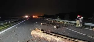 Drewniane bale rozleciały się po drodze