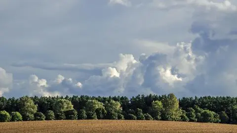 Pochmurno, mogą wystąpić burze