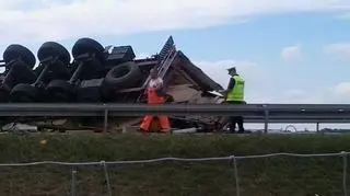 Ciężarówka z płytami przewróciła się na jezdnię