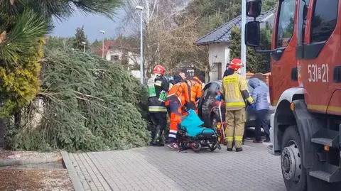 Drzewo runęło, gdy wsiadał do auta
