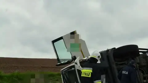 Samochód przewożący martwą trzodę chlewną wjechał do rowu