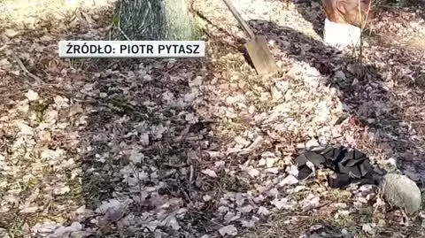 Piotr Pytasz 