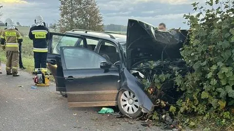 Zjechali z drogi, uderzyli w drzewo i zginęli na miejscu