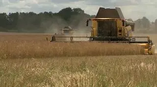 Russia's war on Ukraine has disrupted Kyiv's ability to export agricultural products through its Black Sea ports