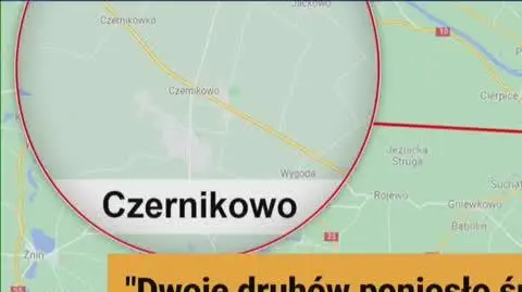wąska czernikowo