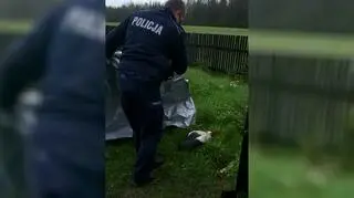Ptak został przeniesiony w bezpieczne miejsce