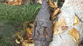 Szerzyny. Grzybiarz znalazł skorupę pocisku przeciwpancernego
