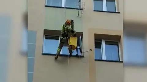 Strażacy uratowali kota, który zaklinował się w oknie