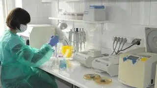 W chwili powstania w WLK pracowało osiem osób, w tym pięcioro ekspertów