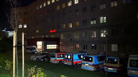 Świniary