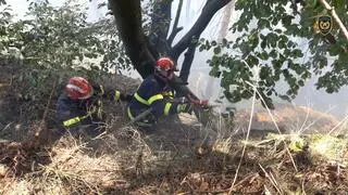 Pożar lasów w Parku Narodowym Czeska Szwajcaria 