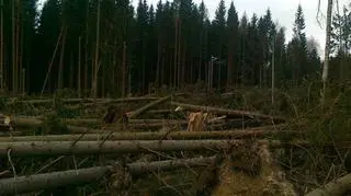 Trasy na Jamrozowej Polanie zostały zamknięte do odwołania