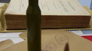Podejrzani usłyszeli zarzuty dotyczące serii kradzieży