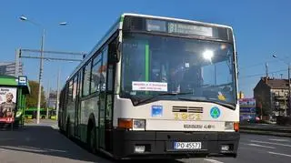 W ramach "Niedzieli z ikarusem" kursował na linii 81