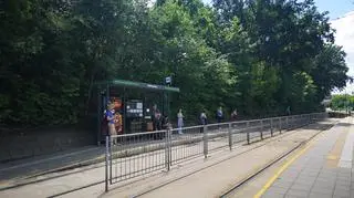 Oczekującym na tramwaj drzewa dają cień