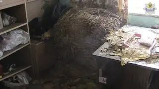 W domach zatrzymanych było prawie 700 kg tytoniu