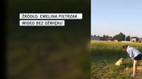 psiak