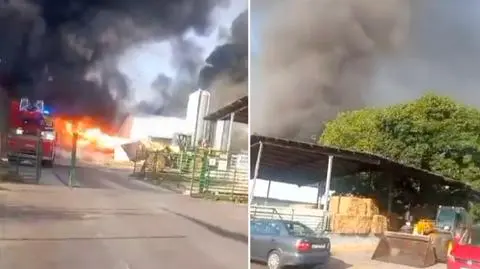Pożar na fermie drobiu. Spłonęły tysiące kurczaków