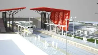 Przystanki ozdabiać będą grafiki z motywami roślinnymi