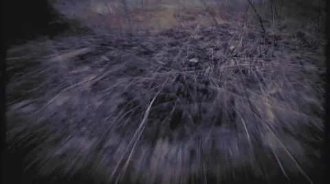 Dzieciobójczyń nie ubywa, są za to bardziej brutalne