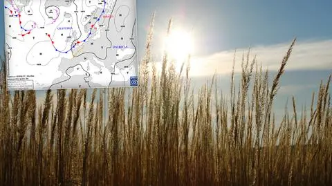 METEO
