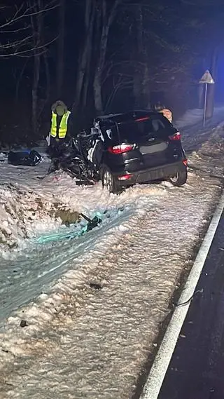 Do zdarzenia doszło w Ruskiej Wsi