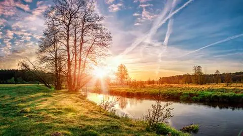 shutterstock_787331626