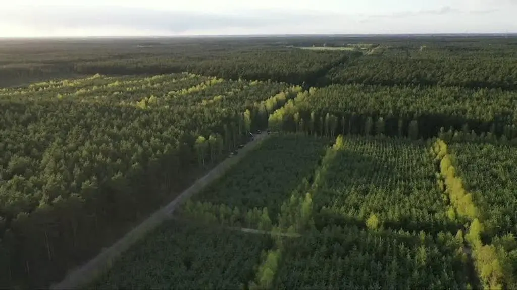 zamosc dron