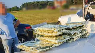Marihuana została zapakowana w worki próżniowe