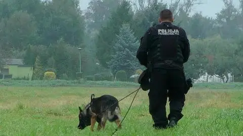 Sześciolatek zgubił się na spacerze w lesie, a trzylatka poszła sama wieczorem do sklepu