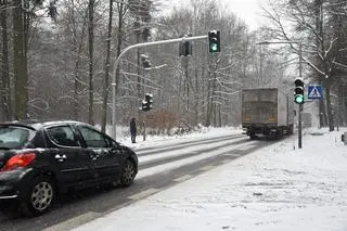Sygnalizacja w środku lasu została włączona po blisko dwóch latach