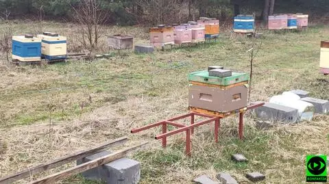 Straty oszacowano na około 50 tys. zł 