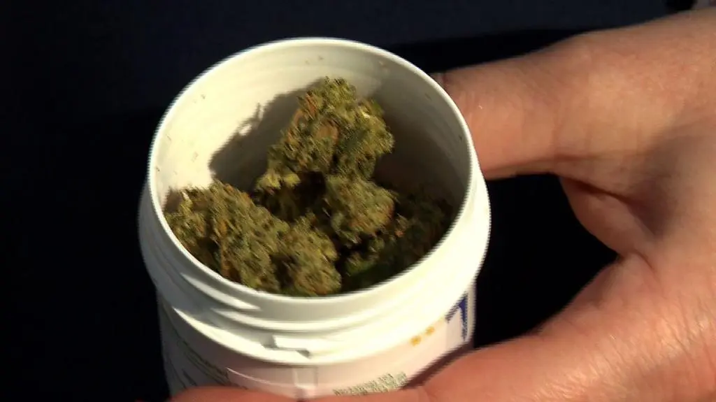Medyczna marihuana zakazana