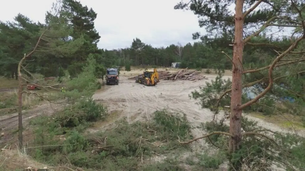 Sprzątali na działce