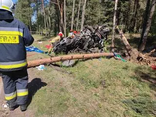 Doszło do uderzenia w drzewo