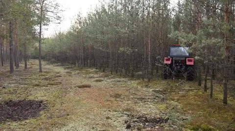 Ukrył skradziony ciągnik w lesie. Wpadł, gdy przyszedł zabrać pojazd
