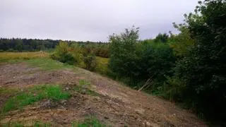 Działka po uprzątnięciu