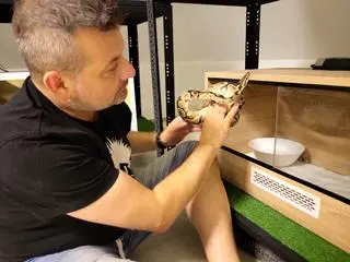 Wąż został odłowiony w jednym z mieszkań