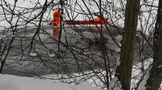 Akcja ratowania stada jeleni