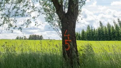 Mieszkańcy naliczyli ponad 130 oznaczonych drzew 