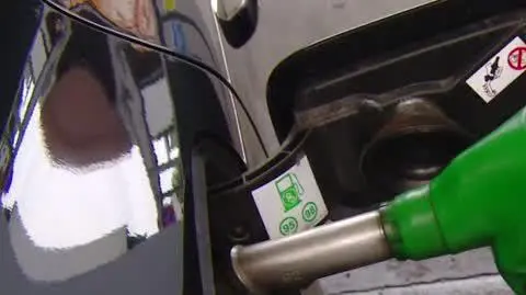 0110N391XR PIS DNZ WILCZYNSKA