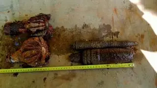 Artillery shells found at the bottom of the quarry