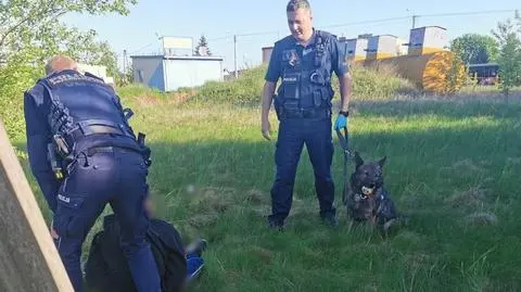 Pijany jechał autem, później schował się w krzakach. Wytropił go Muflon