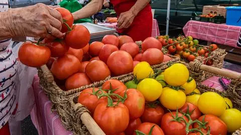 pomidory warzywa bazar zakupy shutterstock_1521578765