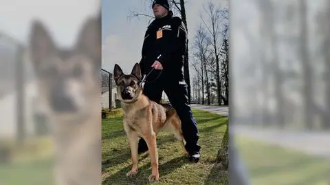 Szron zasilił szeregi policji, zajmie się wykrywaniem narkotyków