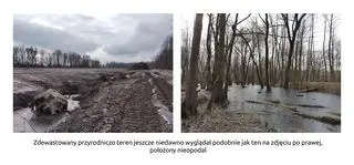 Aktywiści: teren ten jeszcze do niedawna wyglądał jak ten na zdjęciu z prawej 